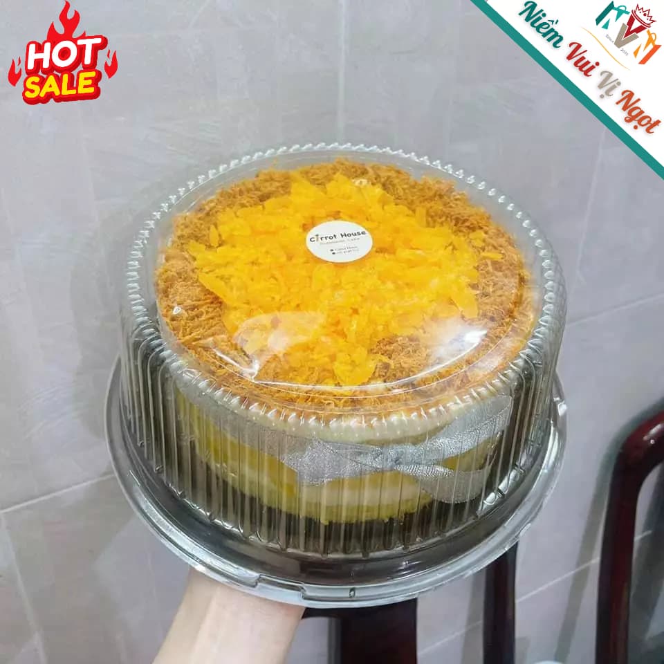 10 Hộp Nhựa Tròn Đựng Đựng Bánh Size 20cm, Hộp đựng Bánh Bông Lan Trứng Muối - A024